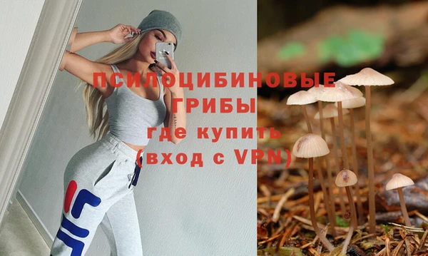 mdpv Белокуриха